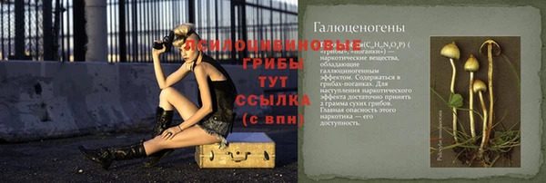ешки Алзамай