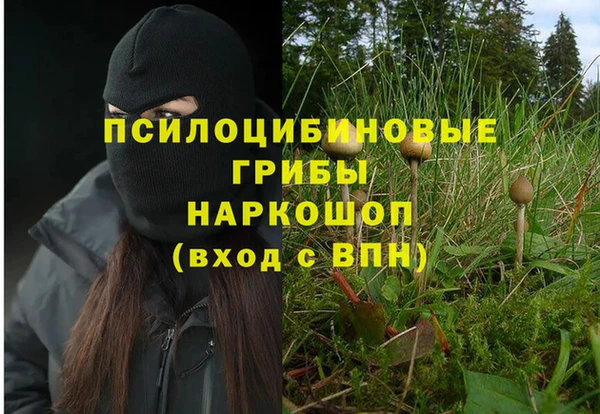 ешки Алзамай